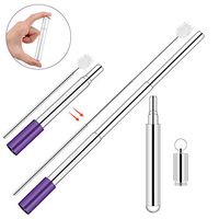Pakesi Portable Collapsible Reusable Straws - Telescopic Stainless Steel Metal Travel Straw Drinking with Case, Cleaning Brush and Keychain-Silver