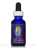 Flower Essence Services Dropper Herbal Supplements, Quaking Grass, 1 Ounce