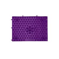 Acupressure Foot Mats Health Care Foot Walking Massage Mat for Pain Relief Stress Relief Acupressure Shiatsu Blanket,Purple