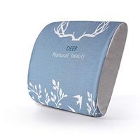 SPLY DTEM Memory Foam Lumbar Support Back Cushion with Balanced Sturdiness for Waist Pain Relief - Ideal backrest for Office Chairs and car Seats.