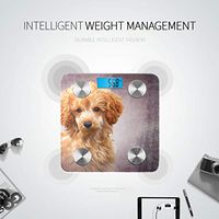 Bluetooth Electric Scales for Weight Drawing Illustration Red Toy Poodle Puppy Digital Scale Bathroom Body Fat Composition Monitor Analyzer with Smartphone App for Body Management-396lbs