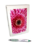 Floral Photo Notecard Set (Gerbera Daisy Collection)