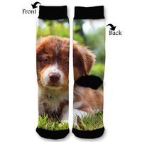 EKUIOP Socks Border Collie Funny Fashion Novelty Advanced Moisture Wicking Sock for Man Women