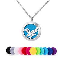 Stainless Steel Pet Love Eagle Aromatherapy Essential Oil Diffuser Necklace Carving Locket Pendant,10 Felt Pads
