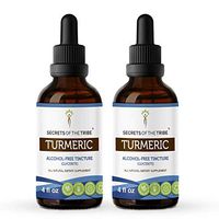 Turmeric Alcohol-Free Liquid Extract, Organic Turmeric (Curcuma Longa) Dried Root (2x4 FL OZ)
