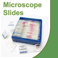 Root Microscope Slide Set