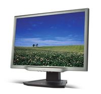 Acer AL2223W - LCD display - TFT - 22" - widescreen - 1680 x 1050 - 300 cd/m2 - 800:1 - 5 ms - DVI-D, VGA - speakers - titanium silver