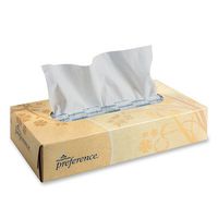 Georgia-Pacific Facial 2-Ply Tissue - 100 Sheets per Box [Set of 4]