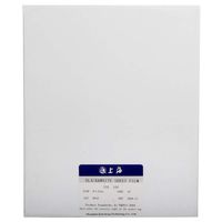 Shanghai 8x10 Black & White B/W ISO 100 Sheet Film 25 Sheets 01-2021 Freshest