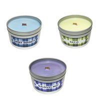 The Plaid Stallion Fruity Fresh Scented Candle Bundle 3 Pack (Sweet Infinity, Day-O, Maldives Mist) 8 oz Candles, 3 Pack