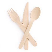 Disposable Wooden Cutlery Set |100 Forks, 50 Knives, 50 Spoons | Eco Friendly & Biodegradable, Compostable| 100% Natural Birchwood Cutlery (200 pieces)