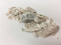 滑石粒 | Talc Grain