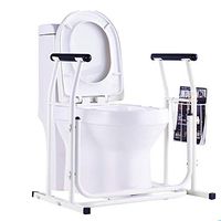 ZYRAY Toilet Safety Rails, Free Standing Toilet Frame with Storage Basket 690mm Length