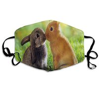 Face Mask Cute and Funny Animal Great Cycling Half Face Earloop Dust Mask for Man