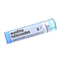 BOIRON USA - Wyethia Helenoides 6c [Health and Beauty]