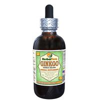 Ginkgo (Ginkgo Biloba) Glycerite, Organic Dried Leaves and Nuts Alcohol-Free Liquid Extract (Brand Name: HerbalTerra, Proudly Made in USA) 4 fl.oz (120 ml)