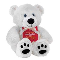 Microwaveable Snuggable Reusable Animal Teddy Hottie (Polar Bear)