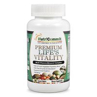 NutriCommit Premium Multivitamin Mineral Supplement-42 Fruits,Vegetables,Plant Enzymes & Herbs(Spirulina,Green Tea,Wheat Grass.etc) Plus Probiotics.Easy to Swallow Tablets Supports Overall Health 90