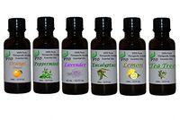 Essential Oil 6 Bottle Set - 15mL Lavender, Tea Tree, Eucalyptus, Peppermint, Sweet Orange and Lemon
