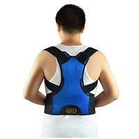 ZSZBACE Back Brace Posture Corrector- Fully Adjustable Support Brace - Improves Posture and Provides Lumbar Support - for Lower and Upper Back Pain - Men and Women (L, Blue)