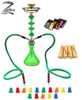 Zebra Smoke Series: 21" 2 Hose Medium Jewel (A1) Hookah Complete Set Combo KIT w/Instant Charcoal (Like Three Kings Charcoal), Zebra smoke: Tanya Series (Green)