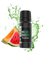 ON DECK Terpenes - Melon Banger | 4ML | 24 - Strain Specific Profiles | 100% Pure Organic Concentrate | Natural |