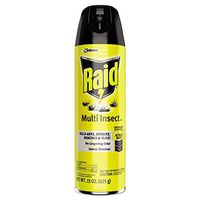 Raid Flying Insect Killer, 15 oz Aerosol Can, 12/Carton