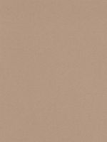 Canson Mi-Teintes Mat Board sand 16 in. x 20 in. [PACK OF 5 ]