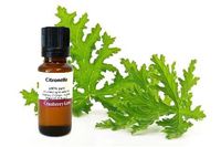 Citronella 100% Pure Essential Oil 20ml