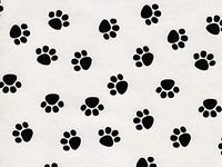Puppy Paw Print Gift Wrapping Paper Roll - 24" x 15'