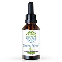 Sheep Sorrel B60 Alcohol-Free Herbal Extract Tincture, Organic Sheep Sorrel (Rumex Acetosella) Dried Herb (2 fl oz)