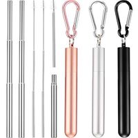 3 Pack Collapsible Reusable Straw Metal Straws Portable Telescopic Drinking Straws Keychain with Stainless Steel Carrying Case, Cleaning Brush(Silver, Rose Gold, Black)
