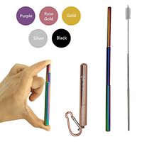 Bestie Online Reusable Collapsible Straw with Metal Case, Cleaning Brush & Hook (Rose Gold Color with Rainbow Straw)