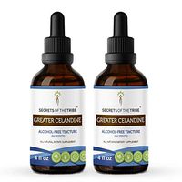 Greater Celandine Alcohol-Free Liquid Extract, Organic Greater Celandine (Chelidonium Majus) Tincture Supplement (2x4 FL OZ)