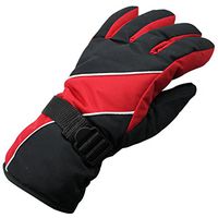 Winter Gloves, Bestpriceam Men's Waterproof Windproof Snow Snowboard Ski Sports Gloves (Red)
