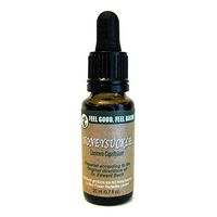 Feel Bach! Flower Honeysuckle 20 ml