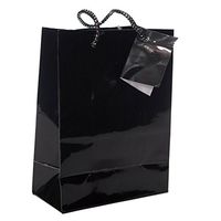 Fun Express Small Black Gift Bags (24 Pack)