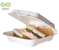 Bulk Compostable Clamshells, 9"x6"x2.5", 2 Compartment Sugarcane Bagasse Take Out Containers: Eco-Products EP-B002 (1000 Compostable Clamshells)