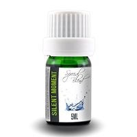 Aroma2Go Silent Moment 5ml All-Natural Essential Oil | Soothing Blend | Therapeutic Grade | Compare to Silent Moment