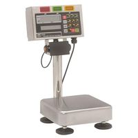 Digital Bench Scale SS Pltfrm 15kg Cap.