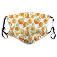Fashion Comfortable Windproof mask,Orange Fruit Leaves Pattern Watercolors Citrus Eco Juicy Healthy Food Artwork,Printed Facial Decorations for Unisex M