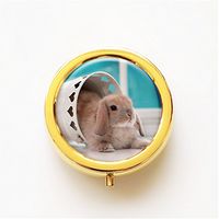 RhyNSky Animal Rabbit Mini Portable Pocket Pill Box Case Holder for Purse, 3 Compartments, Gold, FG40