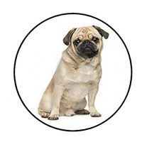 Special Pack 48 Pug Envelope Seals Labels Stickers 1.2" Round #CUAS