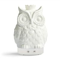 Essential Oil Diffuser 160 ml Cool Mist Humidifier - 7 Color LED Night Lamps - Crafts Ornaments All in 1 is the Round Rich Upgrade Whisper-Quiet Operation Ultrasonic Ceramics Owl Humidifiers US120V