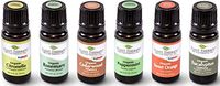 Plant Therapy Organic Essential Oil Sampler Gift Set Includes USDA Certified Organic: Eucalyptus, Peppermint, Rosemary, Cedarwood, Sweet Orange and Citronella 10 mL (1/3 Ounce) Each