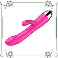 Upgrade 30 Frequency Rechargeable Waterproof Personal Handheld Wireless Massager -New Gifts (Rose Red)