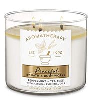 White Barn Bath and Body Works Aromatherapy Peaceful Peppermint and Tea Tree 3 Wick Candle
