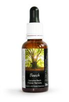 Beech Bach Flower Remedy Large 30ml. Genuine Traditionally Made Essence