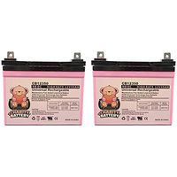 Charity Battery 12V 35Ah Pride Mobility Jazzy Select 6 Replacement Battery - 2 Pack