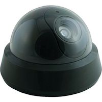 Decoy Camera (Pack of 2)